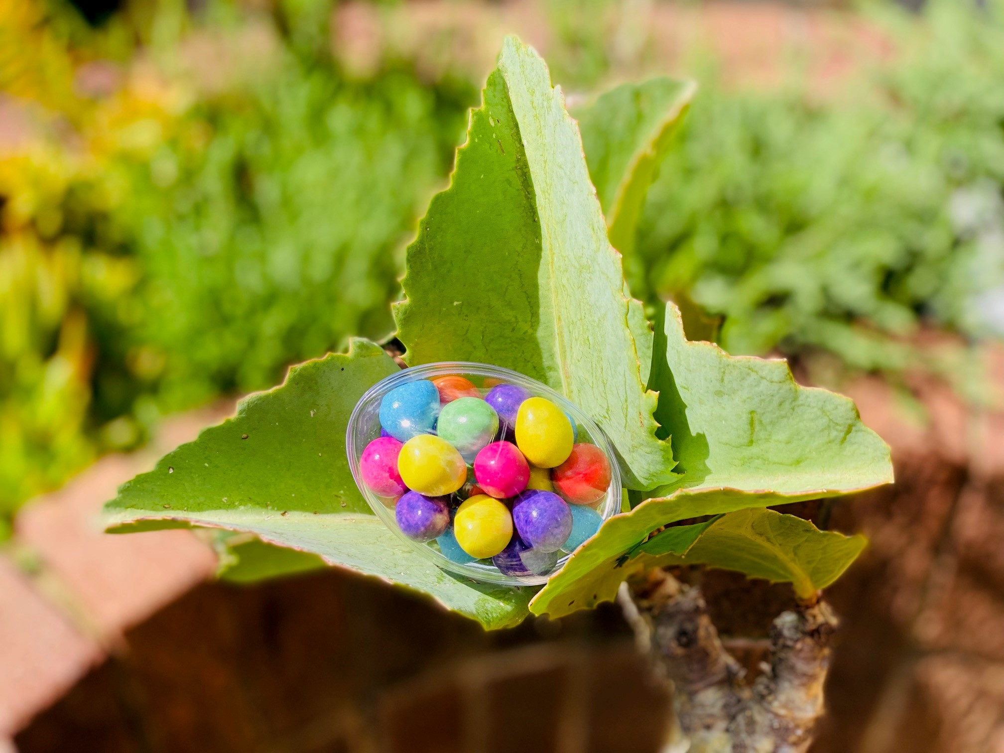 Personalised Easter Egg Smartie Eggs
