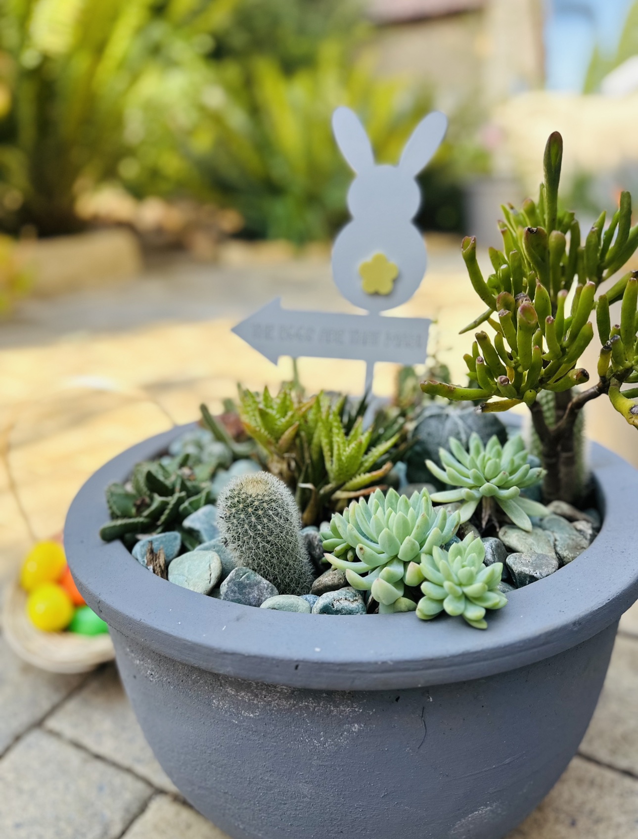 Easter Egg Hunt Signs - Image 3