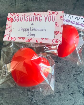 Valentine Squish Hearts